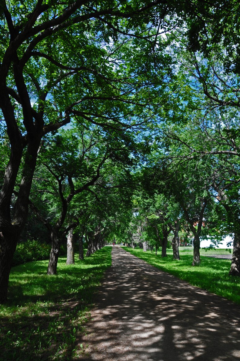 A beautiful pathway from the graveyard to the main building.
