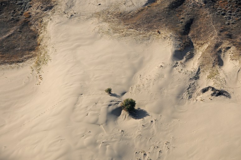 A set of footprints runs across a hill