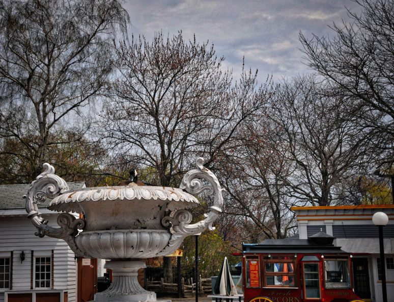 A Canadian Goose makes its' home in a large fountain.