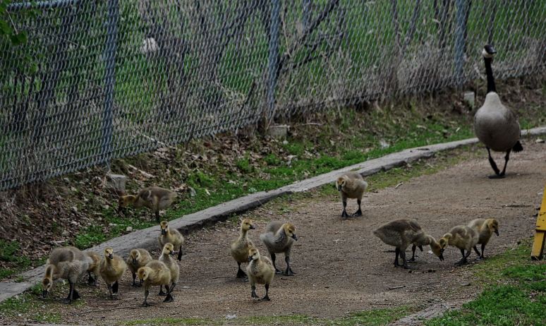 forestry14.051_edited-1i