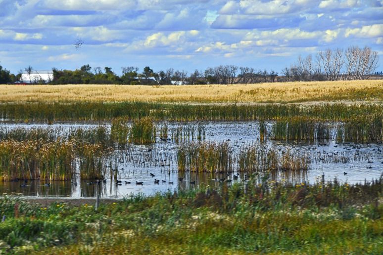 saskatchewan-091116-35i