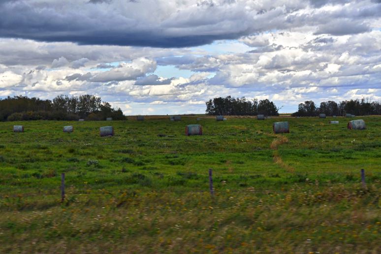 saskatchewan-091116-42i