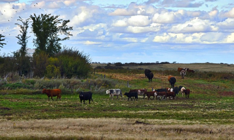 saskatchewan-091116-47i2