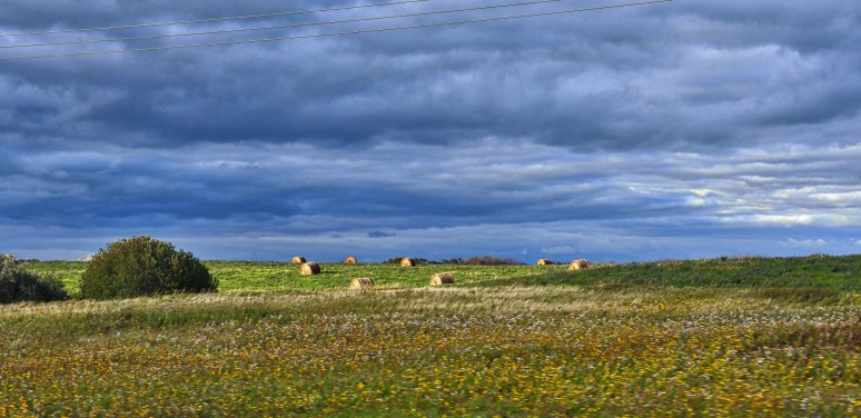 saskatchewan-091116-90i2